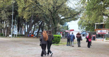 Burhaniye'de Tarihi Meşe Ağaçlarına Koruma Uygulaması