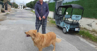 Burhaniyeli Emlakçının Hayvan Sevgisi Büyülüyor