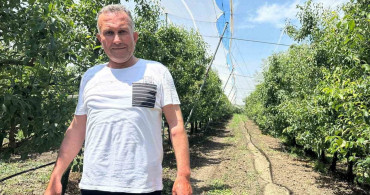 Bursa çiftçileri dolu karşısında armut ve şeftali için file kullanıyor