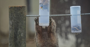 Bursa Hayvanat Bahçesi'nde Kış Bakımı: Sıcak İklim Hayvanlarına Özel İlgi