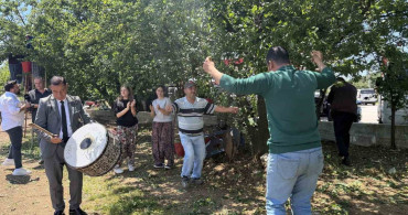 Bursa İznik'te Davullu Zurnalı Erik Hasadı Başladı