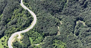 Bursa ormanlarında kartpostallık görüntüler