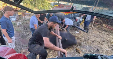 Bursa’da çiftlik yangını nedeniyle 4 büyükbaş hayvan telef oldu