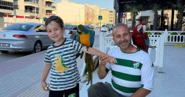 Bursa'da çocukların ilgi odağı olan orhan kahraman ve papağanları