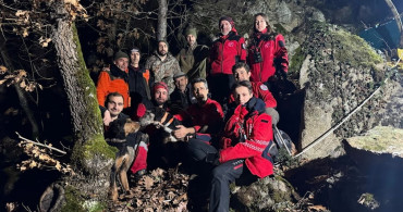 Bursa'da Mahsur Kalan İki Av Köpeği Kurtarıldı