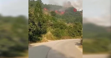 Bursa'da Makilik Alanda Yangın Çıktı