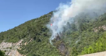 Bursa'da ormanlık alanda yangın