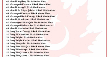 Bursa'da ormanlık alanlara girişler yasaklandı
