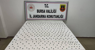 Bursa'da Roma Dönemine Ait 437 Tarihi Sikke Ele Geçirildi