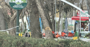 Bursa'da Şiddetli Rüzgar Hayatı Olumsuz Etkiliyor