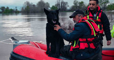Bursa'da Su Taşkınında Mahsur Kalan İki Köpek Kurtarıldı