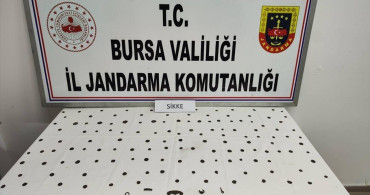 Bursa'da Tarihi Eser Operasyonu: 2 Zanlı Yakalandı