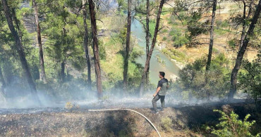 Bursa'daki orman yangını kontrol altına alındı, soğutma çalışmaları devam ediyor