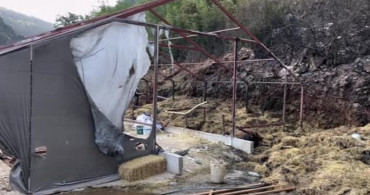 Bursa'daki orman yangınında 1 kişi gözaltına alındı