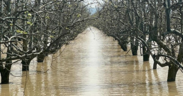 Bursa'nın Su Stoku Yeniden Dolduruldu