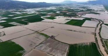 Büyük Menderes Nehri Taşarak Tarım Arazilerini Sular Altında Bıraktı