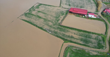 Büyük Menderes Nehri'nde Taşkın: Aydın'da Tarım Arazileri Su Altında Kaldı