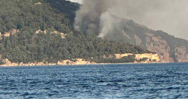 Büyükada'da plajda çıkan yangın paniğe neden oldu