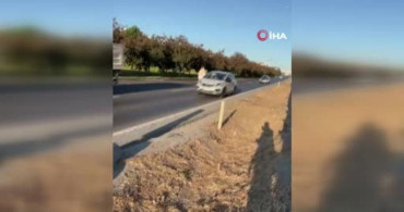 Büyükçekmece'de alkollü kadın araçların önüne atladı