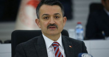 Buzağı Destek Ödemeleri 24 Nisan'da Başlıyor