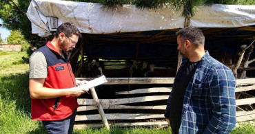 Buzağı kayıplarının önlenmesi için eğitim çalışması sürüyor