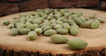 C Vitamini Bombası Çağla Bademi Binbir Derde Deva 