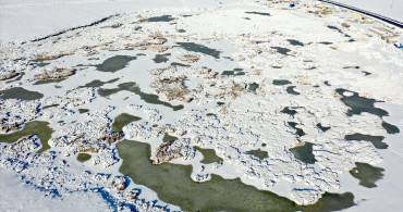 Çalı Gölü Dondu: Afrika'dan Rusya'ya Göç Eden Kuşların Güzergahındaki Doğa Harikası