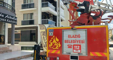 Cam Arasına Sıkışan Güvercin Kurtarıldı