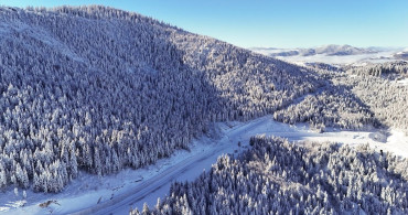 Çambaşı Yaylası'nda Kışın Büyüsü: Havadan Görüntüler