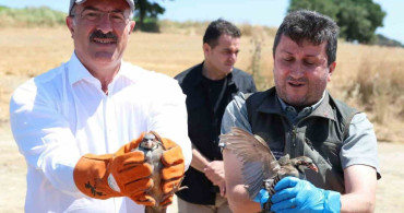 Çanakkale'de 1000 kınalı keklik doğaya salındı