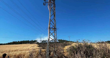 Çanakkale'de elektrik tellerine çarpan karga yangına yol açtı
