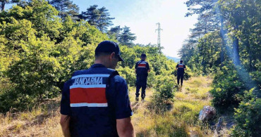 Çanakkale'de jandarma ekipleri orman yangınlarına karşı sahada