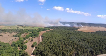 Çanakkale'de tarım arazisinde başlayan yangın ormanlık alana sıçradı