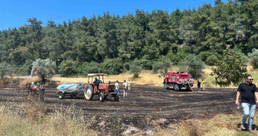 Çanakkale'de tarım arazisinde çıkan yangın kontrol altına alındı