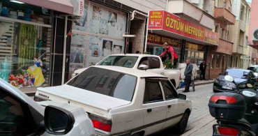 Çanakkale'de Uyuşturucu Operasyonu: Kenevir Yetiştiren Şahıs Gözaltında