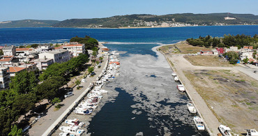Çanakkale’deki Deniz Salyaları Vatandaşı Tedirgin Etti