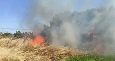Çanakkale'nin Ezine ilçesinde tarım arazisinde yangın