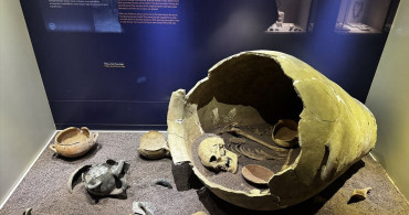 Çankırı Müzesi'nde Fosil Zenginliği: Ziyaretçi Rekoru