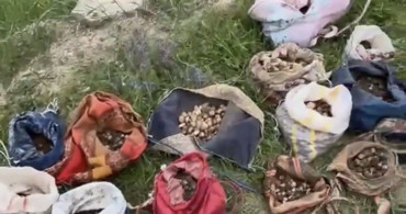 Çankırı’da izinsiz salep toplayan 10 kişiye 6 milyon 992 bin TL ceza