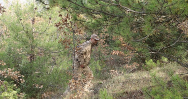 Çankırı'da Kaybolan 82 Yaşındaki Kadın İçin Arama Çalışmaları Devam Ediyor