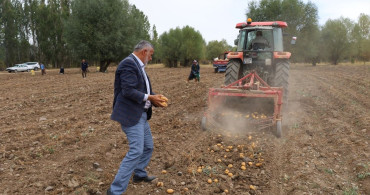 Çankırı'da Patates Hasadı Başladı