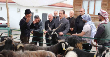 Canlı Hayvan Pazarı Tekrar Kamu Malı Olmalı