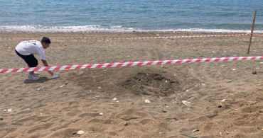 Caretta Caretta için Alınan Koruma Önlemleri