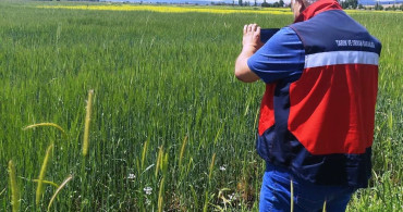 Çavdarhisar'da Tarımsal Üretim İçin Referans Parsel Çalışmaları