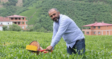 Çay Üreticileri Zam Bekliyor