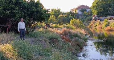 Çekerek Süreyya Bey Barajı'nda doluluk oranı köyü tehdit ediyor