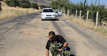 Çermik’te yolların yapılmamasını ağaç dikerek protesto ettiler