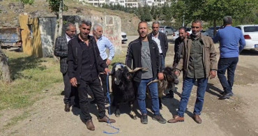 Çermik'teki Hayvan Pazarında Bayram Hareketliliği