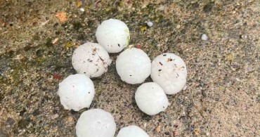 Ceviz Büyüklüğünde Dolu Ağaçlara Zarar Verdi