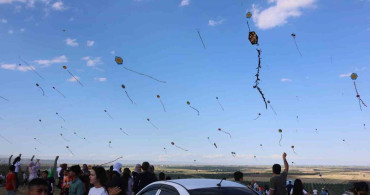 Ceylanpınar'da Uçurtma Şenliği Coşkusu